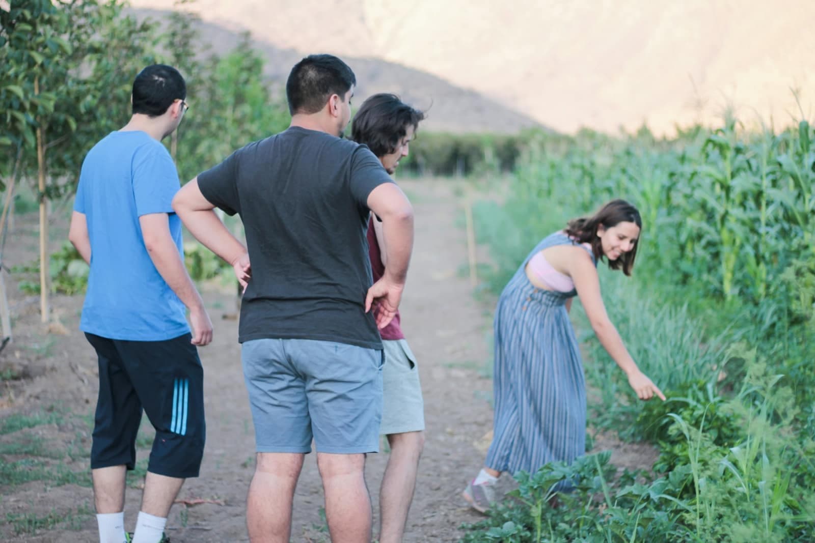 Artisan Cooperative Visit